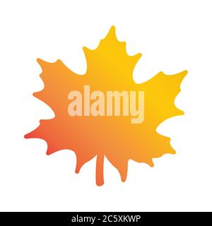 maple leaf autumn icon design vector Stock Vector