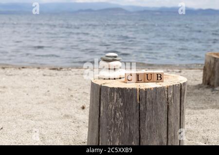 The word club from wooden cubes. The cubes are on the tree stump. Stock Photo