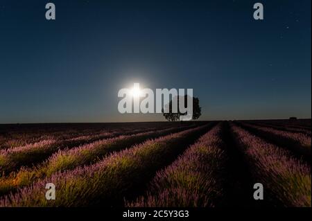 Brihuega, Guadalajara, Spain. 5th July, 2020. July's full moon known as 'Buck Moon' rises with Saturn and Jupiter over a lavender field near the village of Brihuega, one of the largest plantations of lavender in Spain that will be harvested in the coming days. Credit: Marcos del Mazo/Alamy Live News Stock Photo