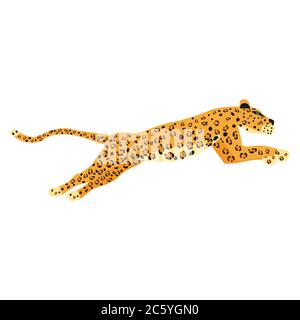 Leopard cute trend style, animal predator mammal, jungle Stock Vector