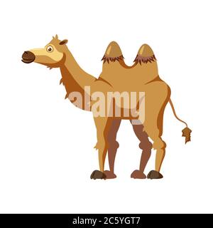 Cute camel, animal, trend cartoon style vector illustration Stock Vector