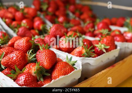 Frische Erdbeeren im Geschäft Stock Photo
