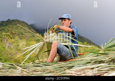 BAYAMO, CUBA - NOVEMBER 25: The man works on the thatched roof building in Cuba November 25, 2016 Stock Photo