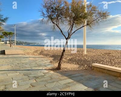 A magnificent morning on the promenade in the city of Platja d'Aro, province of Girona, Catalonia, Spain. Boardwalk, tree, sun, sea, harmony. Stock Photo