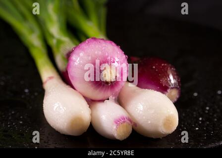 Green onions with white and purple heads on a black background. Close up image Stock Photo