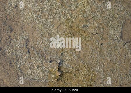 Shallow water and small drops and bubbles. Stock Photo