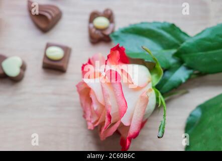chocolate heart shape sweets and pink rose on wooden table Stock Photo