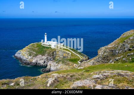 South Stack Lighthouse (1809) is on a small island off Holy Island, Anglesey, Wales, UK.  The cliffs are part of the South Stack RSPB reserve. Stock Photo