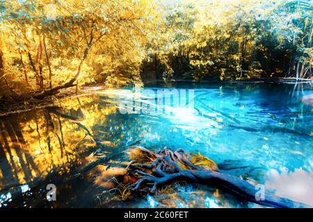 Gorgeous the emerald pool or Sa Morakot on summer morning, sunrise shines dawn on colourful leaves and surface of the pool. Krabi, Thailand. Stock Photo