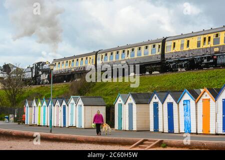 Goodrington Sands, Paignton, Devon, UK.  6th July 2020.  The Dartmouth Steam Railway reopens with the first passenger train of the day on its reopening hauled by 7827 Lydham Manor passing behind the beach huts at Goodrington Sands on its way to Kingswear after leaving the station at Paignton in Devon after the further easing of coronavirus lockdown rules allowed the heritage line to carry passengers again.  Picture Credit: Graham Hunt/Alamy Live News