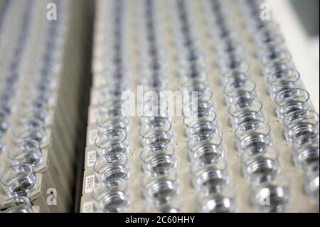 Rows of sample bottles in a laboratory. Stock Photo