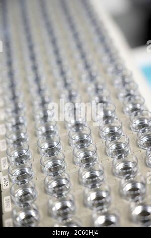 Rows of sample bottles in a laboratory. Stock Photo