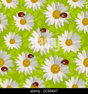 Seamless pattern with white daisies and ladybugs on green background. Vector illustration. Stock Vector