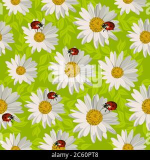 Seamless pattern with daisy flowers and ladybugs. Stock Vector
