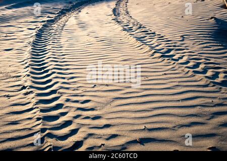 Four wheel drive vehicle tracks in sand dunes near Himatangi Beach, Manawatu, North Island, New Zealand Stock Photo