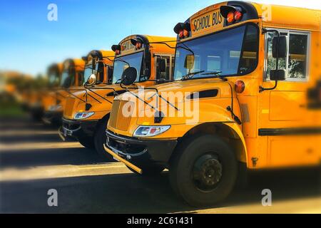 Low angle view of the front end of yellow public school buses parked in in a row seen from driver side Stock Photo