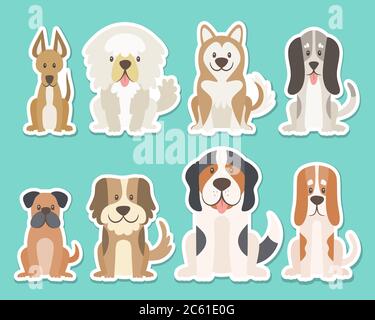 Sticker collection of different kinds of dogs. Sat dogs in front view position. Saint Bernard, boxer, sheepdog, husky. Vector illustration. Stock Vector