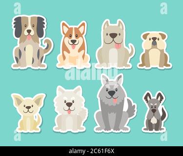 Sticker collection of different kinds of dogs. Sat dogs in front view position. Bulldog, schnauzer, chihuahua, terrier, sheepdog, corgi. Vector illust Stock Vector