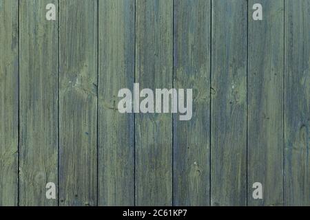The background image with the texture image of a tree. Stock Photo