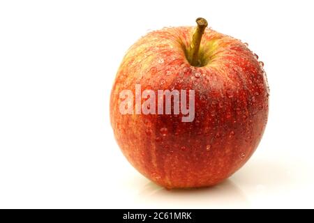 fresh'Royal Gala' apple on a white background Stock Photo