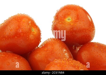 four fresh and colorful italian plum tomatoes on a white background Stock Photo