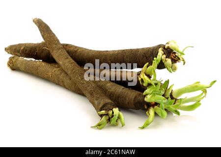 bunch of freshly harvested black salsify on a white background Stock Photo