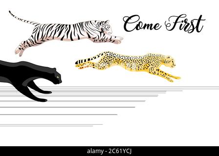 Vector running Panther, tiger and leopard in victory on white background Stock Vector