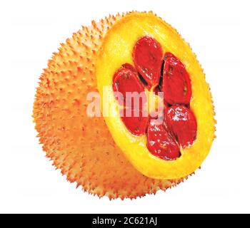 Gac fruit or baby jackfruit isolated on white background Stock Photo