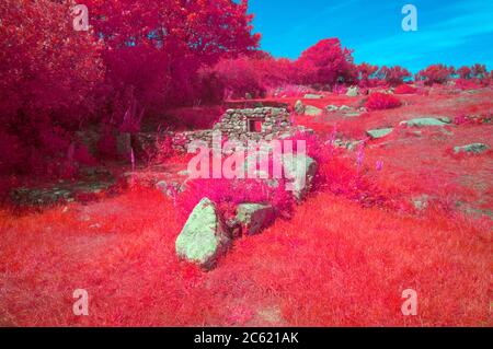 Chapel Euny/Carn Euny Ancient Village, West Cornwall UK Stock Photo