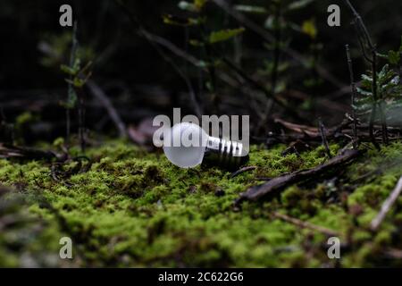 Small light bulb on the mossy ground close up view. Stock Photo