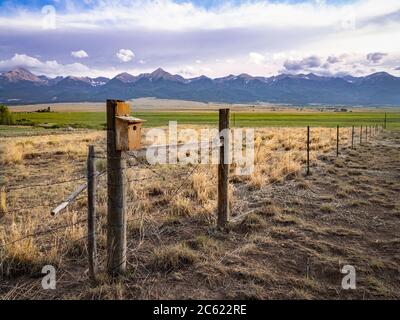 Bird house on post of barbed wire fence, with mountains. Colorado, USA Stock Photo