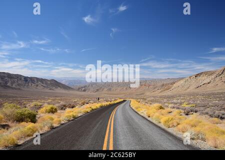 Emigrant Canyon Road in Death Valley National Park. Yellow bushes line the highway with yellow lines painted down the middle.  Mountains and blue sky. Stock Photo