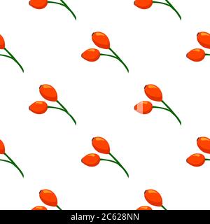 Illustration on theme big colored seamless rose hip, bright berry pattern for seal. Berry pattern consisting of beautiful seamless repeat rose hip. Si Stock Vector