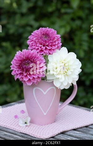 bouquet of dahlia flowers in white and pink in cup with heart ornament Stock Photo