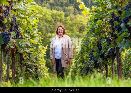 Winery Hans Wiersching in Iphofen, Germany Stock Photo