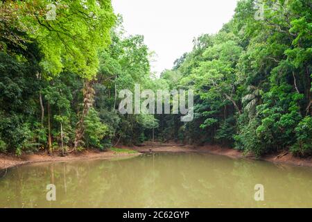 Royal Pond in Kandy Udawatta Kele Royal Forest Park or Udawattakele Sanctuary in the city of Kandy, Sri Lanka Stock Photo