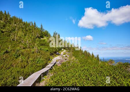 Mountain wooden bridge trail in Karkonosze National Park, Poland. Stock Photo