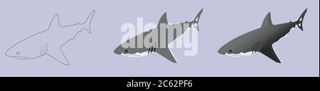 an illustration of a great shark. Set of icons in isometric. Stock Vector