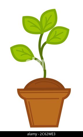 Plant growing in pot, potted flower or herb Stock Vector