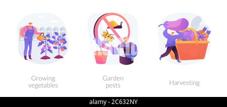 Home gardening abstract concept vector illustrations. Stock Vector