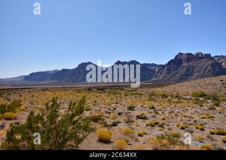 Red Rock Canyon seen from the high point overlook on a clear day with blue sky. Desert foliage in green and yellow and mountains rise in the distance Stock Photo