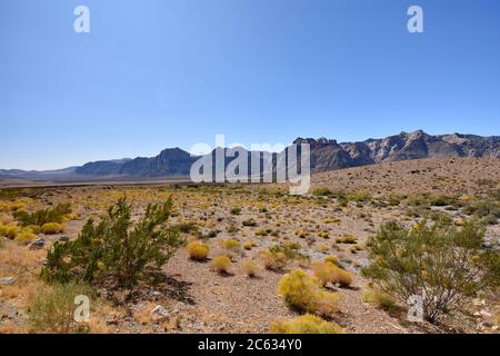 Red Rock Canyon seen from the high point overlook on a clear day with blue sky. Desert foliage in green and yellow and mountains rise in the distance Stock Photo