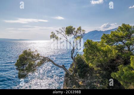 Famous Punta Rata beach with little island in Brela, Dalmatia, Croatia Stock Photo