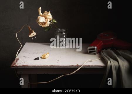 Still life with dried rose and a vintage hairdryer Stock Photo