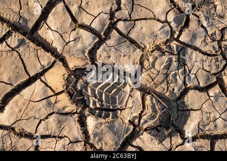 Footprints, muddy ground Stock Photo