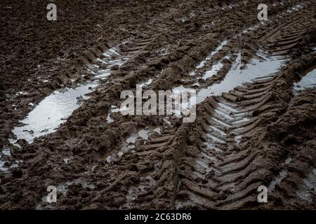 Muddy tractor tracks in field Stock Photo