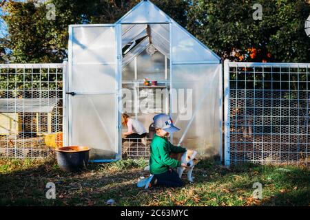Young boy petting dog in front of back yard greenhouse in spring Stock Photo