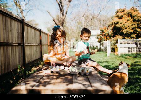 Preschool age siblings sitting on picnic table eating icecream Stock Photo
