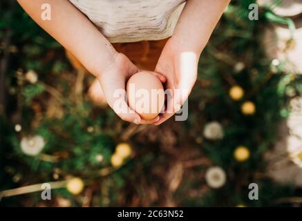 Overhead shot of young boy holding a brown fresh chicken egg Stock Photo