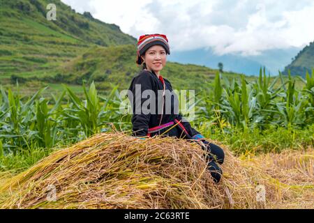 Young Yao woman sitting on haystack Stock Photo